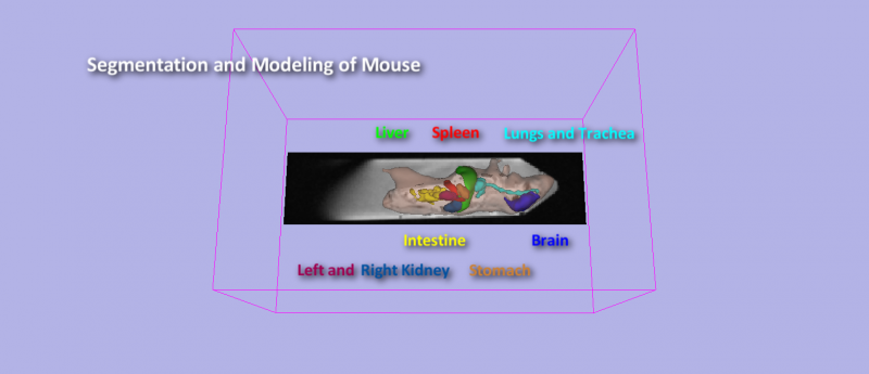 slicer-newqsm-preroll.png slicer-newqsm-preroll.png